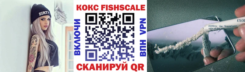 Cocaine FishScale  что такое наркотик  Нелидово 