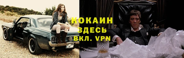 гашик Алексин