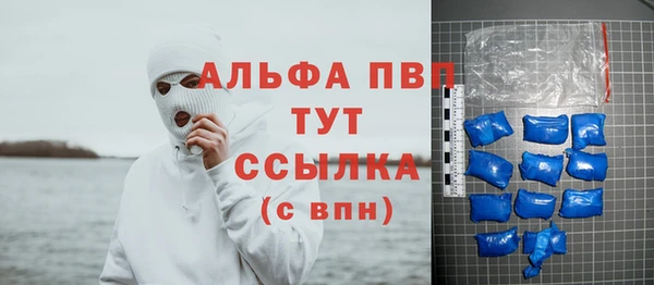 сатива Армянск