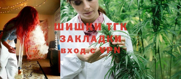 гашик Алексин