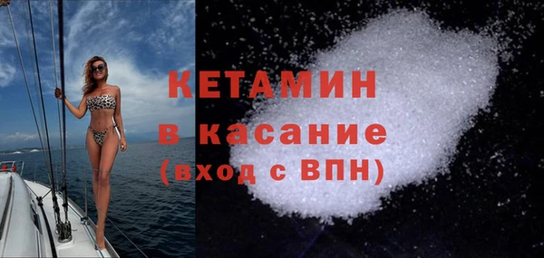 гашик Алексин